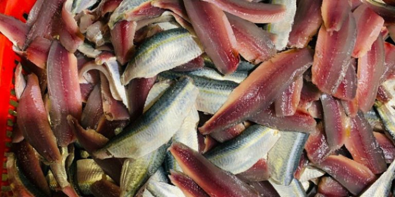 Chả Cuốn Cá Trích Phan Thiết: Món Đặc Sản Mới Lạ Đón Chờ Bạn