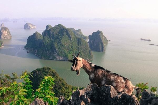 Cảnh đẹp trên núi Bài Thơ