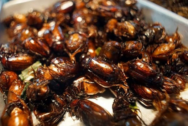 An Giang có đặc sản gì ngon? Món ăn dân dã ở An Giang